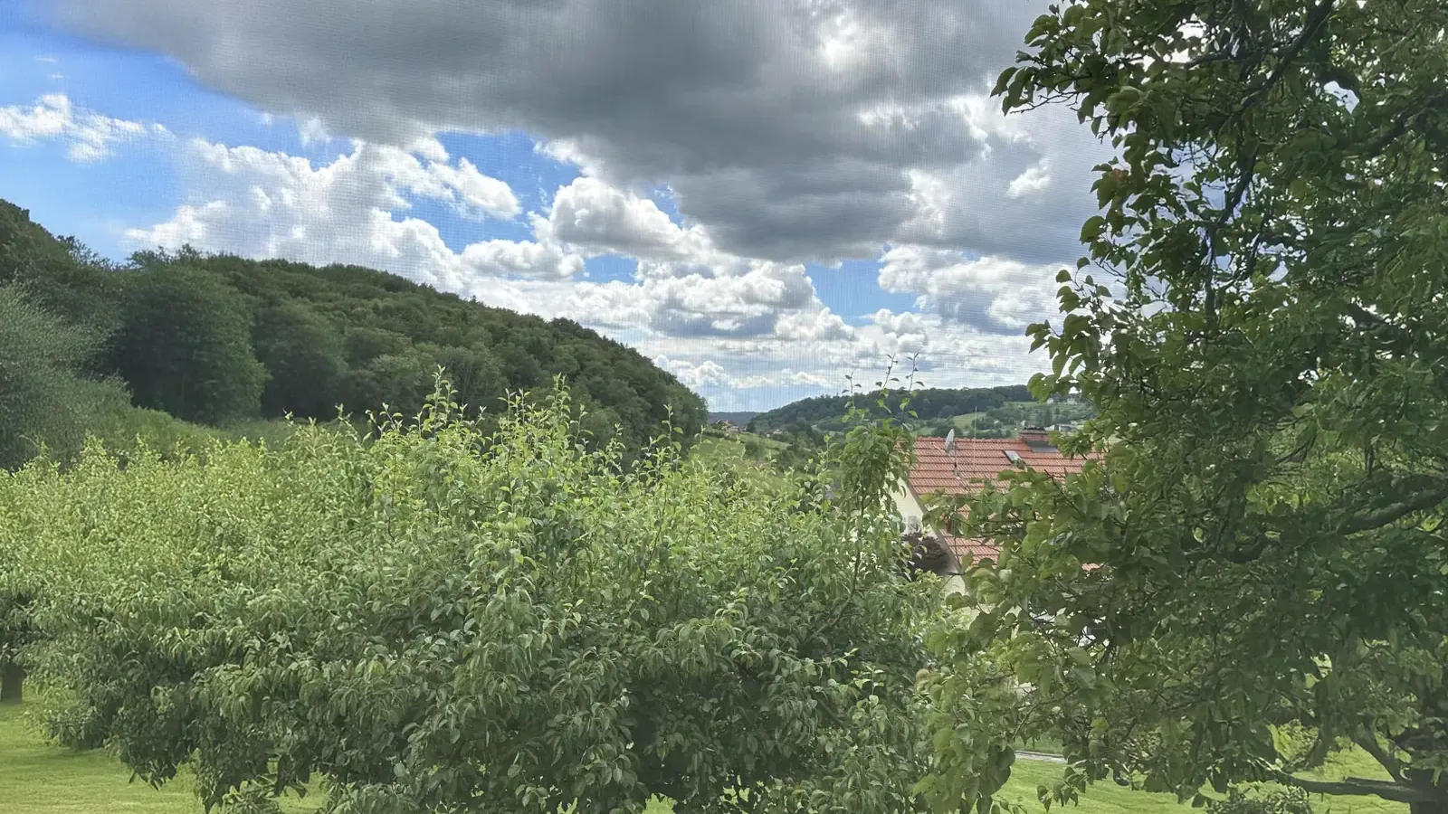 Blick über Obstbäume und Wiese ins Tal, darüber Wolken