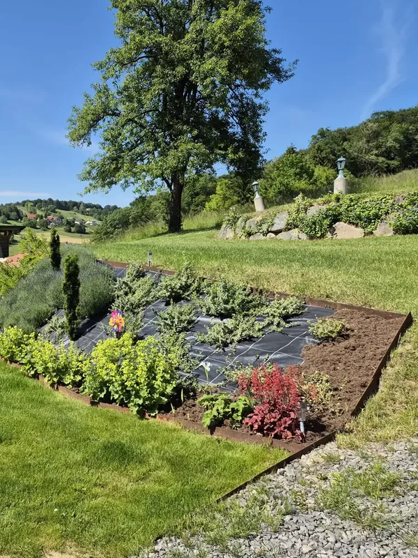 Beete und Wiese am Hang, darüber ein großer Baum